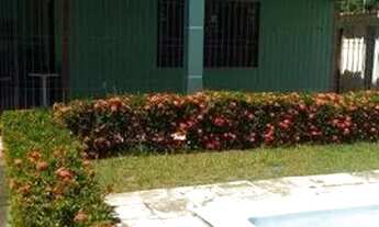 Imagem: Casa à venda com 4 dormitórios em Capim