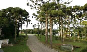 Imagem 7: CURITIBA - Loteamento/Condomínio - Santa Cândida