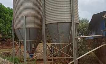 Imagem 6: SITIO ribeirao preto 3 alqueires com irrigacao 3 galpoes zap *2