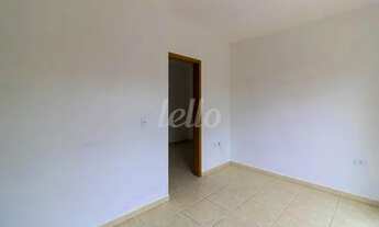 Imagem 2: São Paulo - Apartamento Padrão - Tremembé