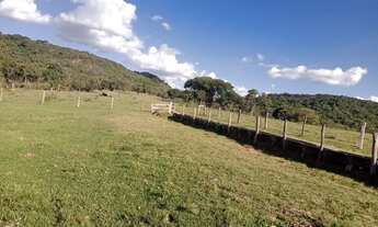 Imagem 4: Fazenda de 37 alqueires em - Caiapônia -GO