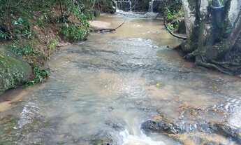 Imagem 6: Sitio 1.23 alqueires