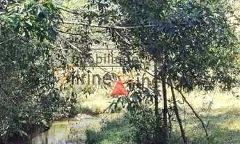 Imagem 7: Terreno 24 hectares em Itatiaiuçu/Mg