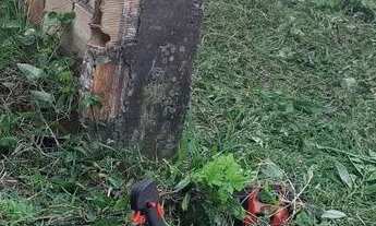 Imagem 3: Vendo terreno 7x21 no Loteamento Boa Viagem