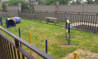 Imagem 3: Aluga-se direto com o dono, contrato cartório