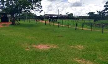 Imagem 6: Fazenda com 1016 Hectares, município de Guiratinga- MT