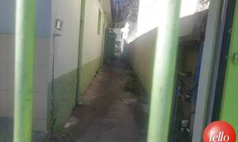 Imagem 3: São Paulo - Terreno Padrão - Tatuapé