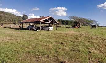 Imagem 5: Fazenda de 37 alqueires em - Caiapônia -GO