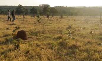 Imagem 3: 056. Chácara em Jaraguari Dupla Aptidão