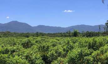 Imagem 4: Área a venda com 825 mil m² em Garuva