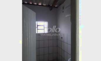 Imagem 6: Venda Colonia PRESIDENTE ROOSEVELT