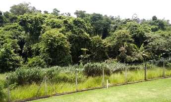 Imagem 5: Venda - Apartamento - Parque São Jorge - Campinas - SP