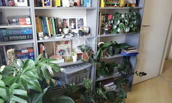 Imagem 4: Apartamento, Jardim Itapeva - São Paulo