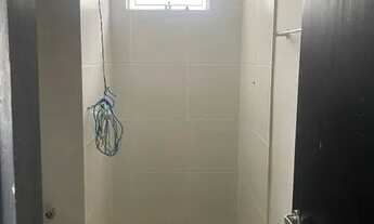 Imagem: Ideal samambaia 5 andar escada passo a parte