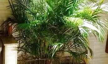 Imagem 5: Sobrado com 3 dormitórios para alugar, 126 m² por R$ 4.106/mês - Vila Jerusalém - São Bern