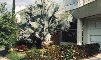 Imagem: Casa com 4 dormitórios para alugar, 330