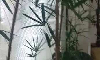 Imagem 4: Casa comercial com 315 metros AC, 8 salas, 6 WC's, 3 vagas - Pq . Continental