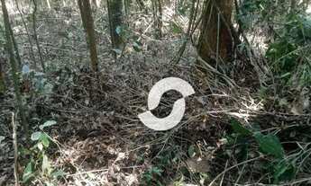 Imagem 5: Terreno com mais de 2.000m2 em condomínio fechado