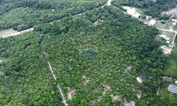 Imagem 2: Terreno Comercial em Tarumã: Oportunidade Única!