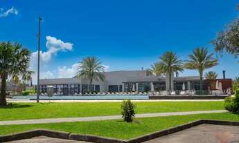 Imagem 4: Veredas | Fundos bosque