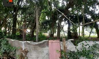 Imagem 6: Terreno, 5700 m² - venda por R$ 6.000.000,00 ou aluguel por R$ 38.072,80/mês - Boqueirão