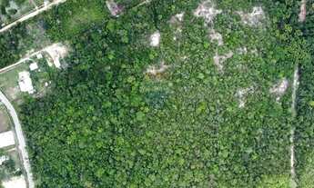 Imagem 7: Terreno Comercial em Tarumã: Oportunidade Única!