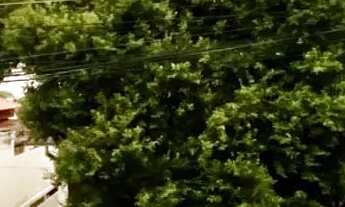 Imagem 5: Linda Área Privativa. 3 quartos Novo Riacho