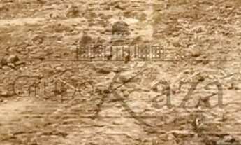 Imagem 6: Oportunidade - Terreno em Condomínio - Condomínio Residencial Alphaville II - Alphaville I