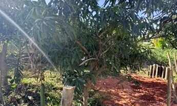 Imagem 3: Terreno 115m² bairro comercial