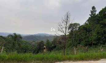 Imagem 5: Chácara de 128.000m2 próximo de Curitiba e Almirante Tamandaré-PR