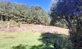 Imagem 7: Area - Bairro Tapera