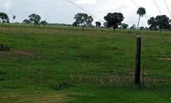Imagem 4: Fazenda de 430 hectares sendo 85% toda aberta com excelente localização na regiã