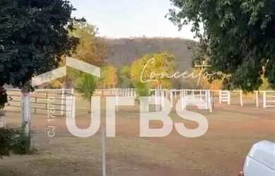 Imagem 6: Fazenda Ourinho de Deus - 63 alqueires - 7 km de Santa Tereza - Go