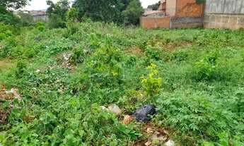 Imagem 2: Lote plano rua João Mendonça Vila Sion