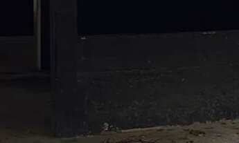 Imagem 6: Balneário de ponta da fruta Terreno