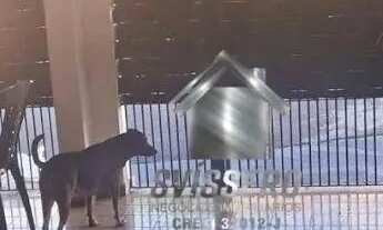 Imagem 2: Sobrado Residencial à venda, Vila Cordeiro, Bauru - SO0057