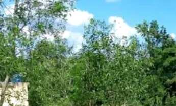 Imagem 5: Terreno Jardim Maracanã Seropédica