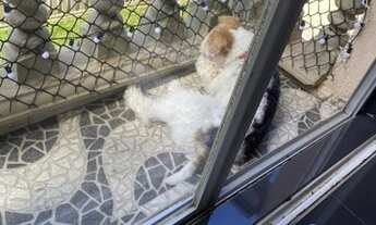 Imagem 5: APARTAMENTO A VENDA - AGUA VERDE - SEMI MOBILIADO - RECEM REFORMADO - AO LADO DO SHOPPING