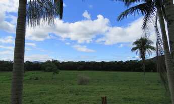 Imagem 15: FAZENDA Fazenda / sítio com venda por R$2.500.000