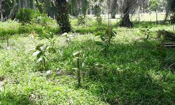 Imagem 4: ® FAZENDA MARAVILHOSA EM BAIXO GUANDU