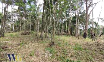 Imagem 5: Chácara para Venda em Campo Largo, Estrada da Faxina/Taquaral