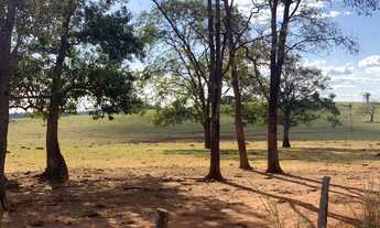 Imagem 2: Oportunidade! Vende-se uma belíssima fazenda de 250 Alqueires