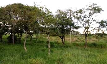 Imagem 5: Terreno à venda, Águas Claras - Viamão/RS