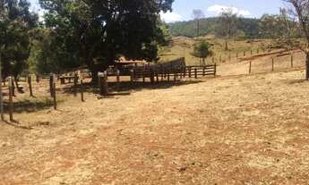 Imagem 6: Fazenda estado de Goias 50 alqueires