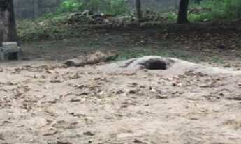 Imagem 7: Vendo-Excelente Terreno Escriturado no Sim-Próximo ao Bangalay 2.250m²