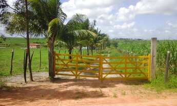 Imagem 3: Promoção 15,5 tarefas em São Sebastião