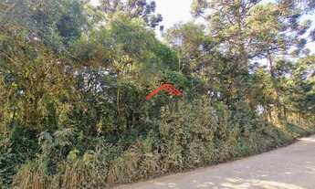 Imagem 4: Chácara com 20000m² no Cerne - Campina Grande do Sul/Pr