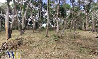 Imagem 6: Chácara para Venda em Campo Largo, Estrada da Faxina/Taquaral