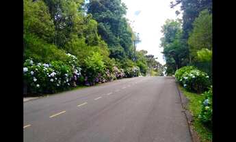 Imagem 3: Casa Goldoni Gramado - Aluguel por Temporada direto com o proprietário!