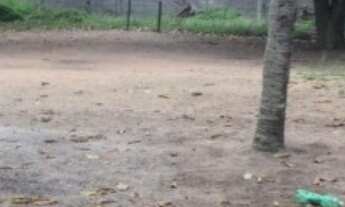 Imagem 4: Vendo-Excelente Terreno Escriturado no Sim-Próximo ao Bangalay 2.250m²